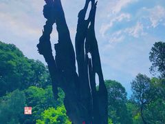 -泰山风景名胜区