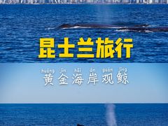 -黄金海岸