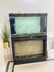 -VE专注问题肌·赛诺龙&科学美肤中心