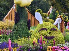 -上海共青森林公园