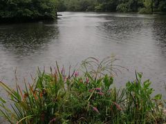 -杭州张苍水先生祠