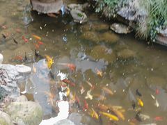 -绣园·茶食宴(湘绣博物馆店)