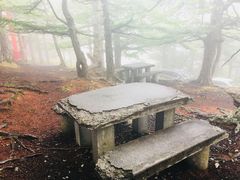 -富士山吉田線五合目