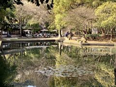-兰亭风景区