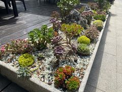 -静颐茶馆·素食(龙华店)