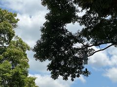 -广州市流溪河国家森林公园