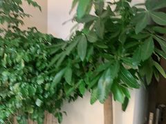 -感智盲人按摩·艾灸·肩颈SPA(岗厦店)