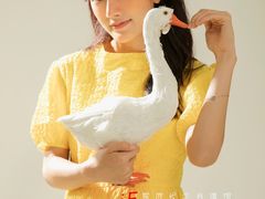 -iF摄影•全家福•证件照•形象照(南山店)