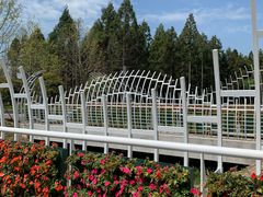 -东平国家森林公园