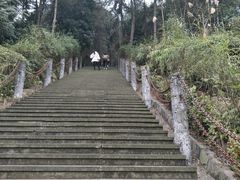 -铁山坪森林公园