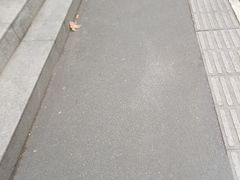 -古南都·老广东酒楼(龙江店)