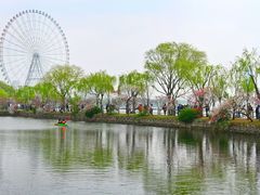 -无锡蠡湖国家湿地公园-蠡园