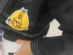 -勇气斑马·巴西柔术&跆拳道(浦东三林店)
