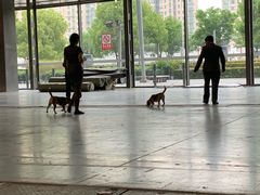 -东浩兰生上海世博展览馆