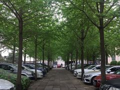 -东丽温泉羽毛球