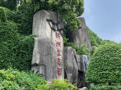 -新洲生态园