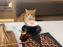 -喵园·猫主题咖啡厅·撸猫·猫咖(国贸店)