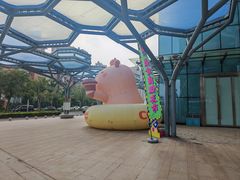 -观澜湖新城运动奥莱区