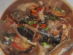 -全乐鱼馆·淳牌有机鱼直营店