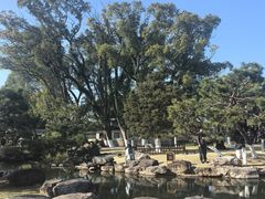 -江心屿景区