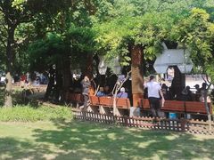 -双拥公园