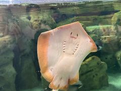 -珠海长隆海洋王国