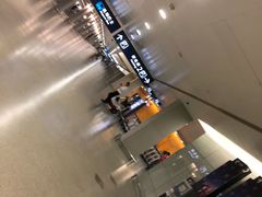 -上海浦东国际机场-T2航站楼