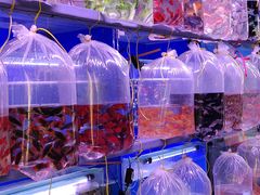 -华声天桥民俗文化园