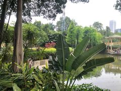 -晓港公园