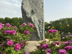 -洛阳市隋唐城遗址植物园