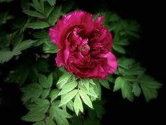 -狼山风景名胜区