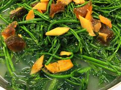 护肝菜-台山第一家兴华黄鳝饭·黄鳝婆(彭沙坑总店)