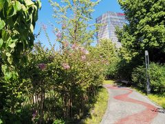 -莲花池公园