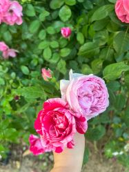 -壹加壹医疗美容·轻医美·美容外科