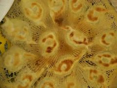 -北方饺子王·海肠捞饭·海鲜锅(山大店)