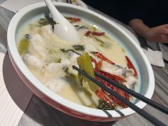 大树酸菜鱼-大树餐厅(大悦城店)
