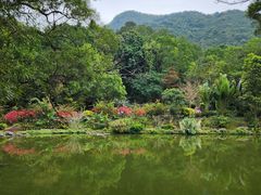 -深圳仙湖植物园