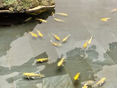 -觀芷隐轩