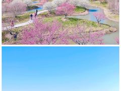 -花开海上生态园