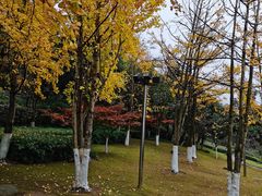 -鸿恩陶然大观园