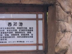 -泉眼温泉