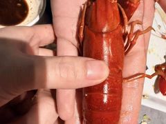-奔海甄选·活鲜刺身铁板烧自助(太原里店)