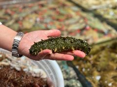 -连鹭海鲜·海肠捞饭·海胆饭(星海店)
