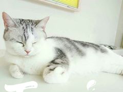 -怪兽屋·羊驼·猫咖·狗咖(俊华广场店)