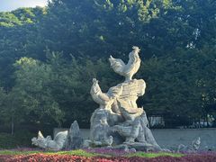 -金鸡山公园