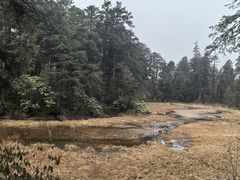 -海螺沟风景区