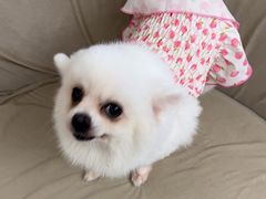 -怪兽屋·羊驼·猫咖·狗咖(俊华广场店)