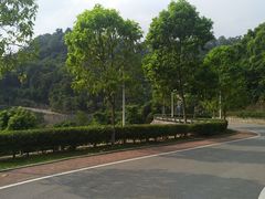 -火炉山森林公园