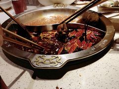 爽脆毛肚-大龙燚火锅(春熙店)