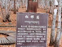 -哈乌尔河